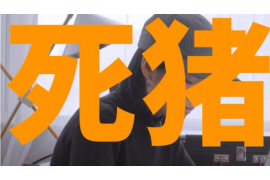 建平企业清欠服务